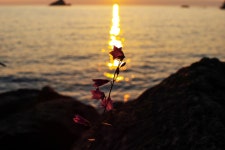 노을빛이 번져가는 시각에 - 시그마 Talk 노을빛이 번져가는 시각에