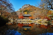 늦가을 백양사2.-백양루 - 시그마 Talk 늦가을 백양사2.-백양루