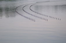 평화의 공원 - 팝코넷 | 팝게&톡 이슈게시판 평화의 공원