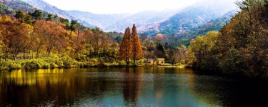 (DP3 quattro) 송곡지 - 팝코넷 | 팝게&톡 이슈게시판 (DP3 quattro) 송곡지