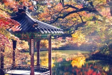 지난 가을의 추억3. - 시그마 Talk 지난 가을의 추억3.