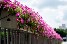 대구 신천 - 시그마 Talk 대구 신천