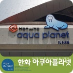 미러리스 a6000과 함께하는 한화 아쿠아플라넷 체험기 - 체험단사용기 미러리스 a6000과 함께하는 한화 아쿠아플라넷 체험기