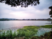 [GX8] 수원 서호공원 - 영상 Talk [GX8] 수원 서호공원