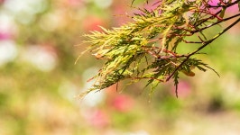 [GX8+samyang 100mm T3.1 macro] 용인 농촌 테마파크 - 영상 Talk [GX8+samyang 100mm T3.1 macro] 용인 농촌 테마파크