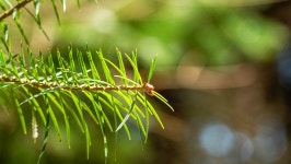 [GX8+samyang 100mm T3.1 macro] 용인 농촌 테마파크 - 영상 Talk [GX8+samyang 100mm T3.1 macro] 용인 농촌 테마파크