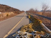 안산 대부해솔길 7코스 - 팝코넷 | 출사지 정보 안산 대부해솔길 7코스