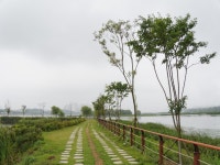 의왕시 왕송호수 연꽃단지, 생태휴식공원 & 의왕자연학습공원 - 팝코넷 | 출사지 정보 의왕시 왕송호수 연꽃단지, 생태휴식공원 & 의왕자연학습공원