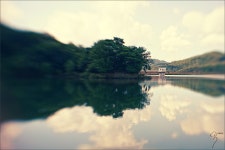 독특한 양날 보케와 함께 만나보는 부드러운 감성의 렌즈 렌즈베이비 SOL45mm F3.5~ - 순수 사용기 독특한 양날 보케와 함께 만나보는... 