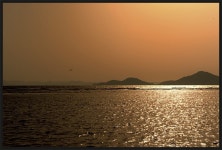 초보시절 다대포 ㅎㅎ - 팝코넷 | 자유게시판 초보시절 다대포 ㅎㅎ