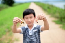 다른 할 말은 없고 덥네예 고마 - 팝코넷 | 자유게시판 다른 할 말은 없고 덥네예 고마
