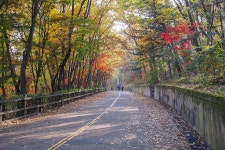관악산 입구만 살짝 들어갔다 나왔네요 - 팝코넷 | 자유게시판 관악산 입구만 살짝 들어갔다 나왔네요