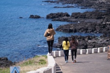 현 제주 여행중입니다 ㄷㄷ - 팝코넷 | 자유게시판 현 제주 여행중입니다 ㄷㄷ