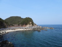 오늘자 정동심곡 바다부채길 - 팝코넷 | 자유게시판 오늘자 정동심곡 바다부채길