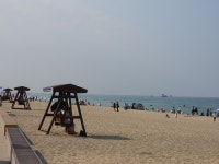 현재 안목해변 - 팝코넷 | 자유게시판 현재 안목해변