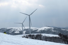오늘자 대관령 삼양목장 - 팝코넷 | 자유게시판 오늘자 대관령 삼양목장