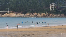 현재 만리포 해수욕장 - 팝코넷 | 자유게시판 현재 만리포 해수욕장