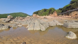 현재 하나개 해수욕장 - 팝코넷 | 자유게시판 현재 하나개 해수욕장