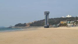 현재 대천해수욕장 - 팝코넷 | 자유게시판 현재 대천해수욕장