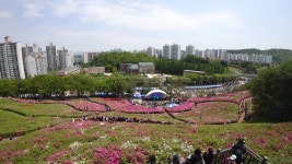 현재 군포 철쭉축제 - 팝코넷 | 자유게시판 현재 군포 철쭉축제