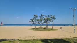 현재 낙산해수욕장 - 팝코넷 | 자유게시판 현재 낙산해수욕장