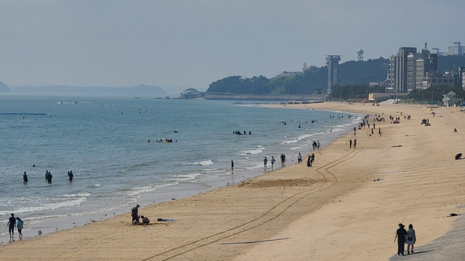Không khí sôi động tại Lễ hội Bùn Boryeong trên bãi biển Daecheon