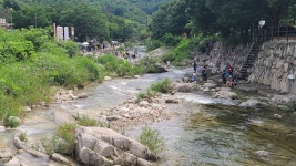 현재 백운계곡 - 팝코넷 | 자유게시판 현재 백운계곡