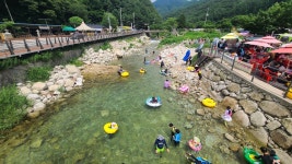 현재 백운계곡 - 팝코넷 | 자유게시판 현재 백운계곡