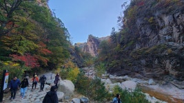 오늘자 오색약수터 - 팝코넷 | 자유게시판 오늘자 오색약수터