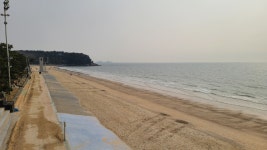 현재 대천해수욕장 - 팝코넷 | 자유게시판 현재 대천해수욕장