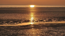 현재 하나개 해수욕장 - 팝코넷 | 자유게시판 현재 하나개 해수욕장