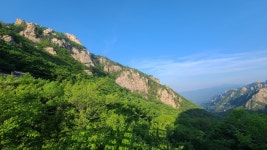 현재 한계령 휴게소 - 팝코넷 | 자유게시판 현재 한계령 휴게소