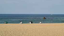 현재 안목해변 - 팝코넷 | 자유게시판 현재 안목해변