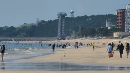 현재 대천해수욕장 - 팝코넷 | 자유게시판 현재 대천해수욕장