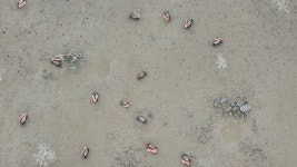 현재 석모도 칠면초 해안길공원 - 팝코넷 | 자유게시판 현재 석모도 칠면초 해안길공원