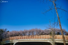 퇴근길에 겸사겸사~~ - 팝코넷 | 자유게시판 퇴근길에 겸사겸사~~