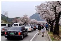[대전출사] 계룡산편 Part I - [대전출사] 계룡산편 Part I