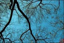 태안출사-당일치기 (은빛version) - 태안출사-당일치기 (은빛version)