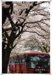 08.04.12-대전출사(동학사,충대). Part2~ - 08.04.12-대전출사(동학사,충대). Part2~