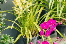 진시장 구경이2 -21pics- - 똑딱이 Talk 진시장 구경이2 -21pics-