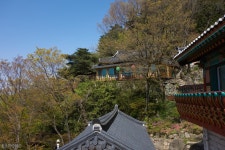 [RX-100] 양산 천성산 원효암 - 똑딱이 Talk [RX-100] 양산 천성산 원효암