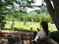 hx60v 또 베어트리파크 - 똑딱이 Talk hx60v 또 베어트리파크