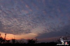 [FinePix S1] 저녁노을 - 똑딱이 Talk [FinePix S1] 저녁노을
