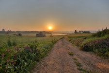 [오막삼 + 16-35 F4] 부처님 오신날의 안성목장 일출 - 캐논 Talk [오막삼 + 16-35 F4] 부처님 오신날의 안성목장 일출