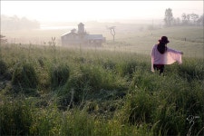 [5DSR | 탐론 45.8VC] 안성목장의 일출 그리고 풀떼기들 입니다. ㅎ ㅎ - 캐논 Talk [5DSR | 탐론 45.8VC] 안성목장의 일출 그리고 풀떼기들... 