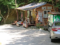 경주 골굴사에서 만난 진도견들 입니다 ㅎㅎㅎㅎㅎㅎ - 캐논 Talk 경주 골굴사에서 만난 진도견들 입니다 ㅎㅎㅎㅎㅎㅎ