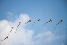 임진각을 갔다왔습니다. - 캐논 Talk 임진각을 갔다왔습니다.