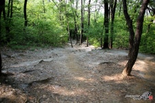 [5D M3 + 24-105L II] 꽃가루 - 캐논 Talk [5D M3 + 24-105L II] 꽃가루