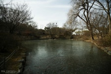 [1DsMK2] 창경궁 - 캐논 Talk [1DsMK2] 창경궁