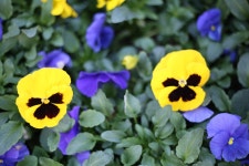 [5D M3+ 50 1.8 STM] 인천 동화마을 .. - 캐논 Talk [5D M3+ 50 1.8 STM] 인천 동화마을 ..